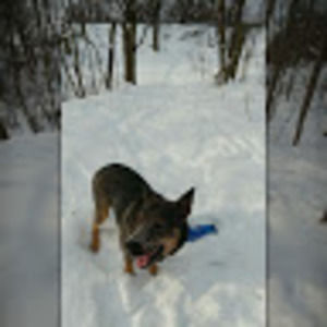 Meet your Posher, Allison